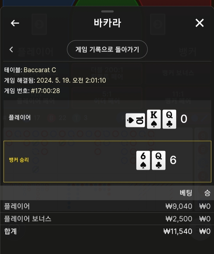 비제후기(0)