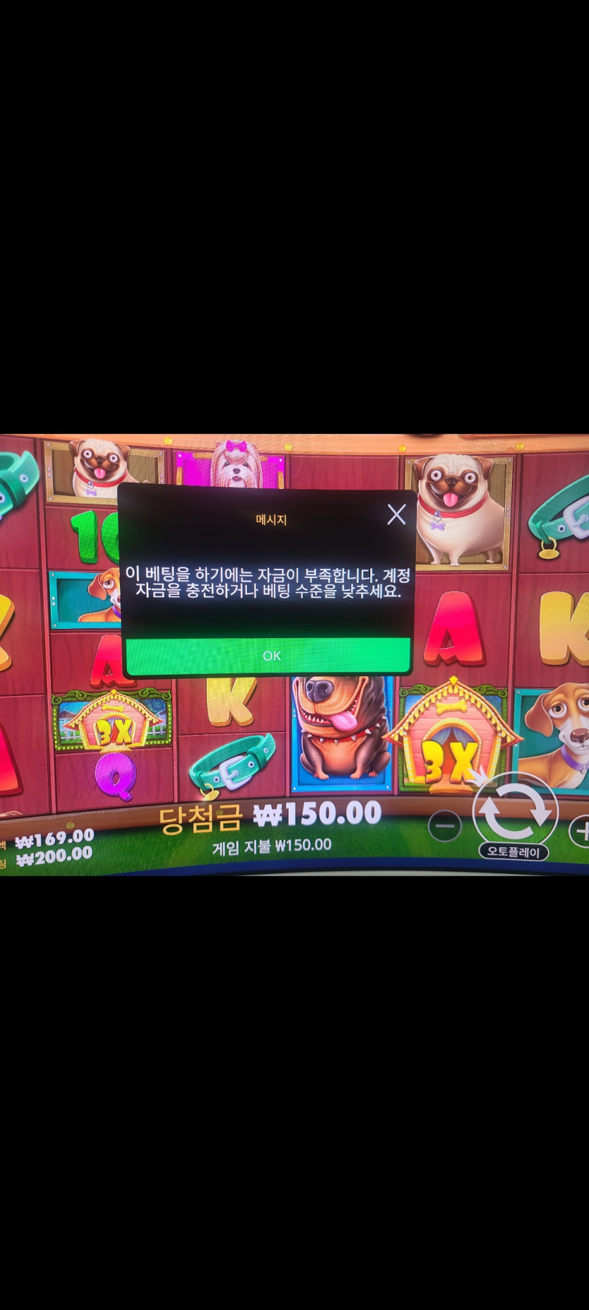 크보벳 후기(0)
