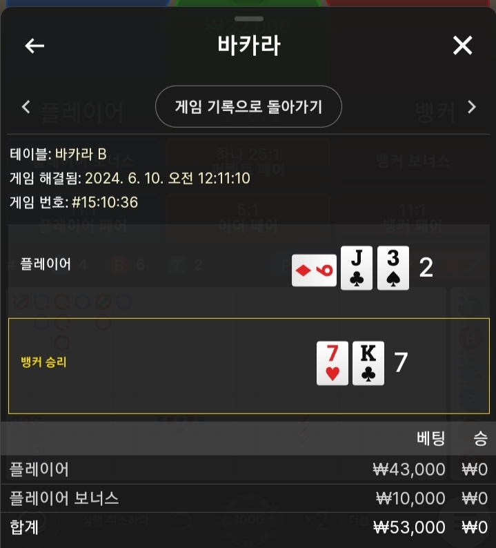 비제루징후기(0)