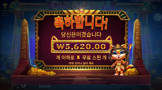비제휴후기(0)